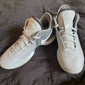 Mens Nike Zoom Lebron Nxxt Gen